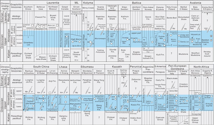 ͼ2 ȫ����Ҫ�Ű�飨����壩����ϵ-־��ϵ����ز�Աȱ�