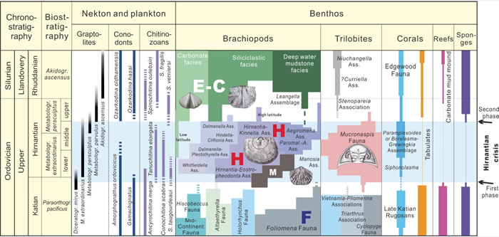 ͼ4 ���ռ�ĩ������ڼ估��ǰ�󳣼���������Ķ���Ⱥ����