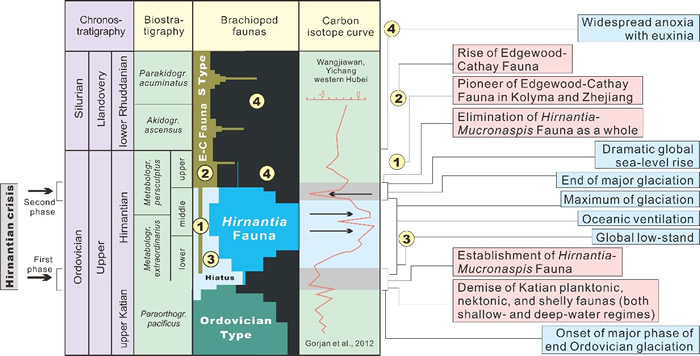 ͼ5 �������ڴ������ڼ估��ǰ�������㶯��Ⱥ���桢̼ͬλ��Ư�ƣ��˲������壩���������������¼�