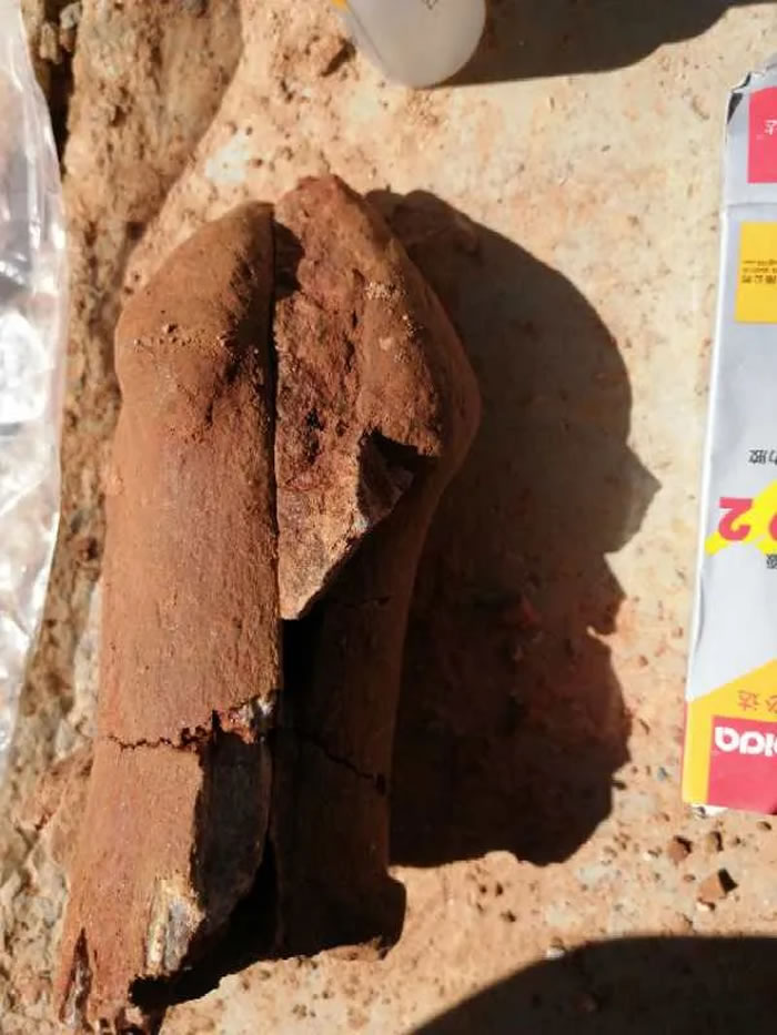 ����ʡ���ϲ��������ݺ����з��ִ���2500����ǰ������ʱ�ڵĲ��鶯�ﻯʯ