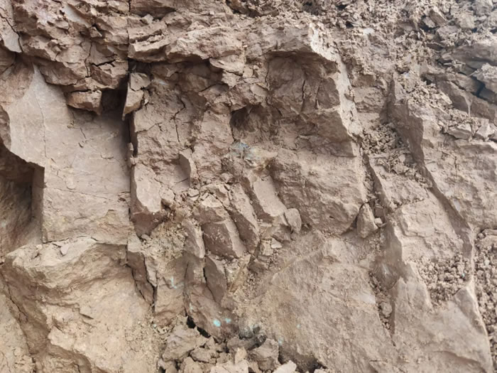 ����ʡ���ϲ��������ݺ����з��ִ���2500����ǰ������ʱ�ڵĲ��鶯�ﻯʯ