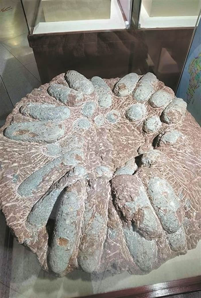 ���й��������¼ҡ��ڰ�վ���߽���Դ���������