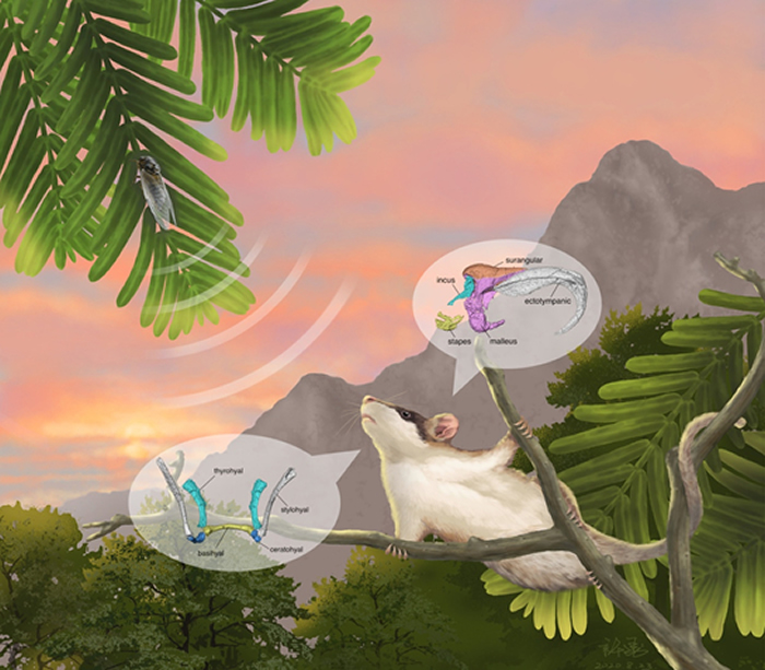 �����л����޸�ԭͼ������/��