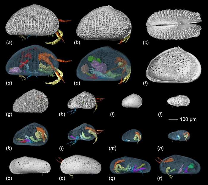 ��ͬ���γ����ά��ԭͼ