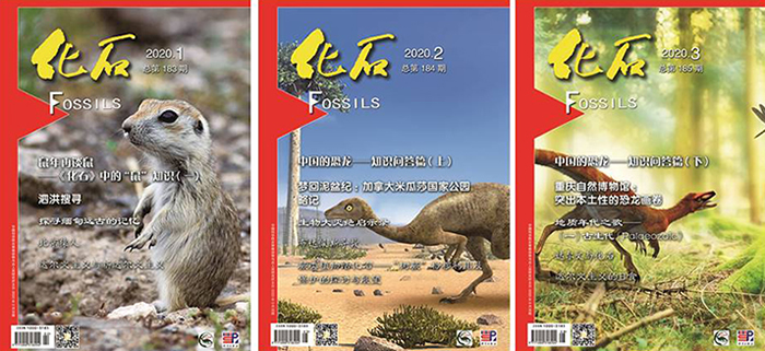 ����ʯ����־��ѡ�й���������ڿ�Ŀ¼��2020�꣩