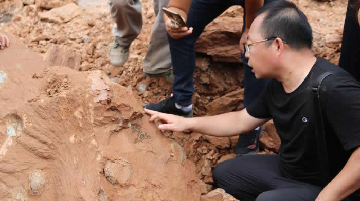 ����ʡƼ����������ҵ԰�����ط���ʮ��ö���Լ9000����������������ڿ�������ʯ