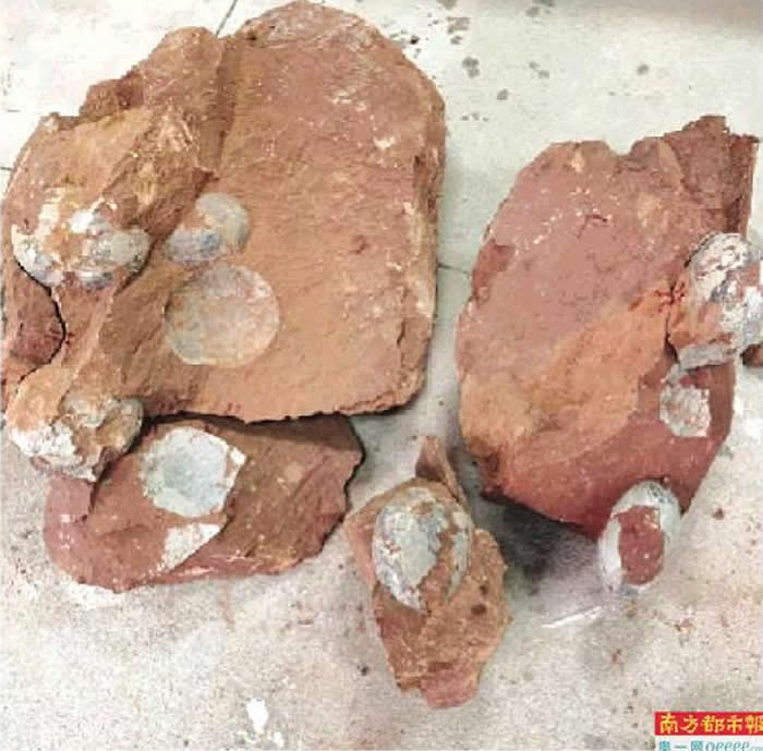 �㶫��Դ����������״��������ʯ �����Ĺ���33ö