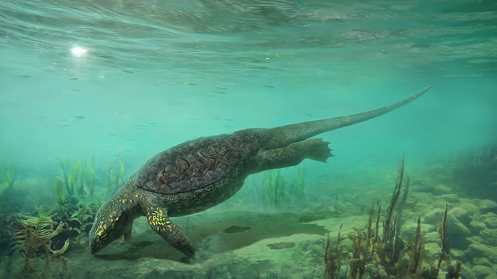 �й���������Ӿ��ԭͼ ���ڴ� ����