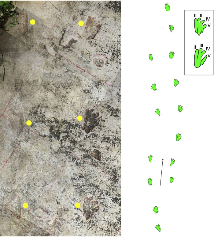 ��˳�㼣��Ƭ���м�ʾ��ͼ