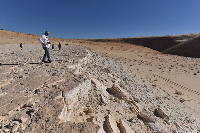 沙特北部泰布克地区发现12万多年前的人类和动物足迹化石