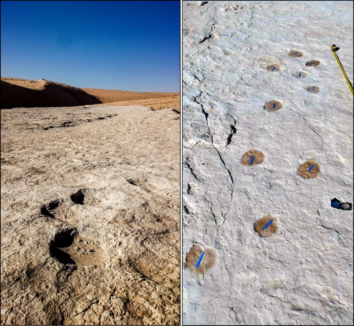 沙特北部泰布克地区发现12万多年前的人类和动物足迹化石