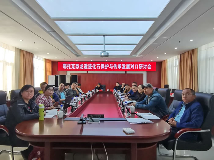 �ٿ����п˿����ż���ʯ�����봫�з�չ�Կ����ֻ�