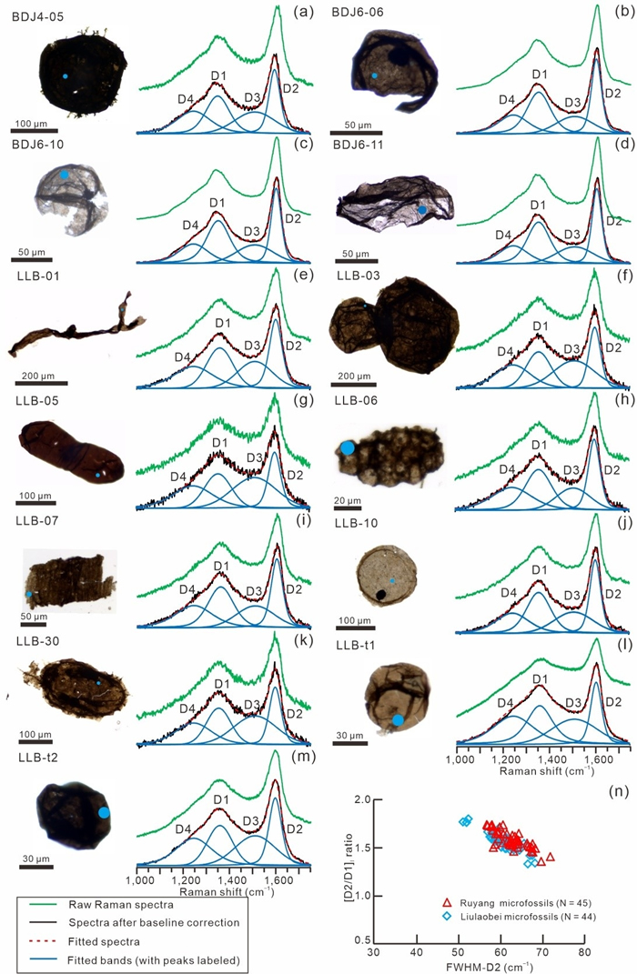 Ⱥ飨BDJͷıţͻȺϱ飨LLBͷıţлʱ΢廯ʯĴ