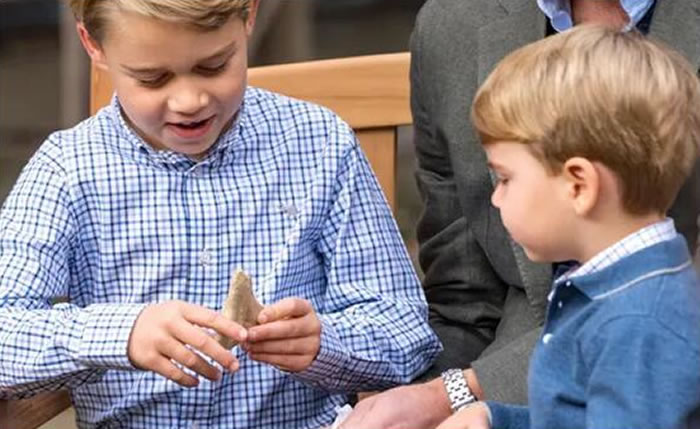 Ӣ�������������վ޳������ݻ�ʯ����Ƭ���鷳 ������������������