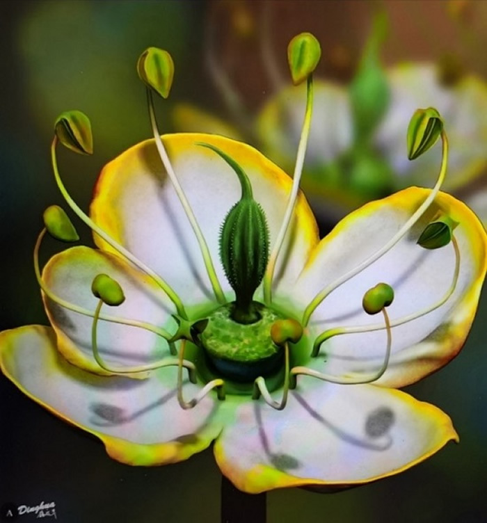 1500����ǰ�����еġ����ϻ�����⿪�����ݻ�֮��