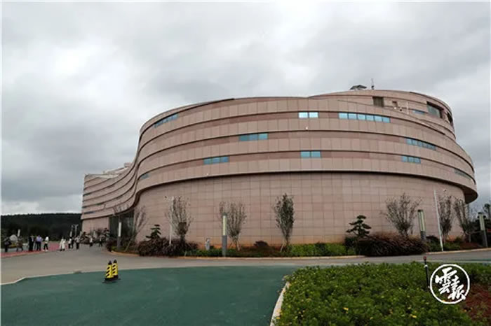 νʯȻǽڻʯŲΨһĲ