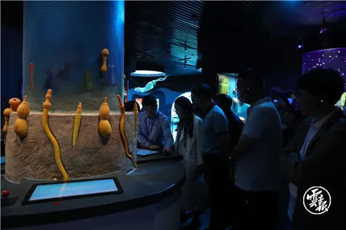 νʯȻǽڻʯŲΨһĲ