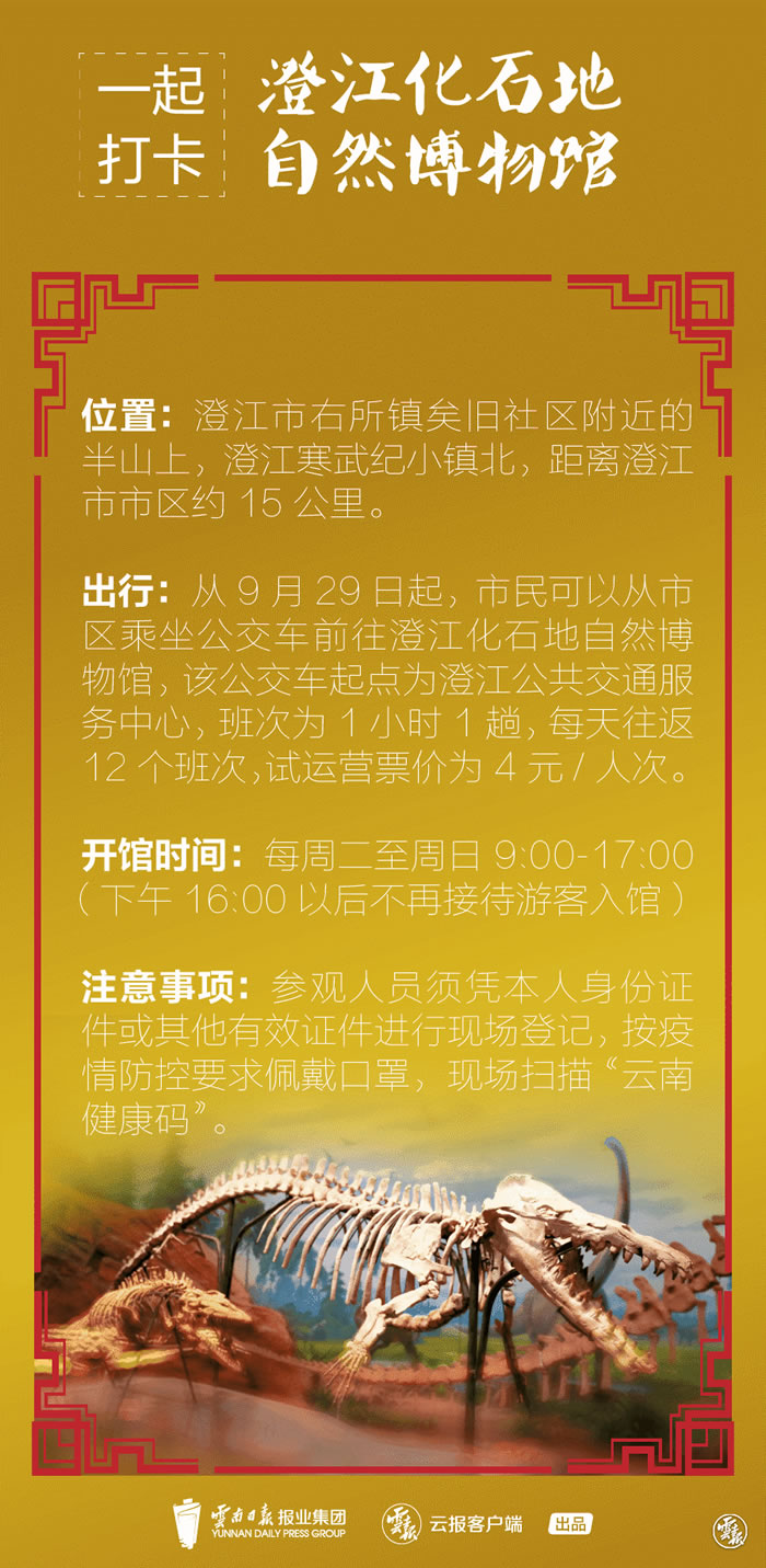 νʯȻǽڻʯŲΨһĲ