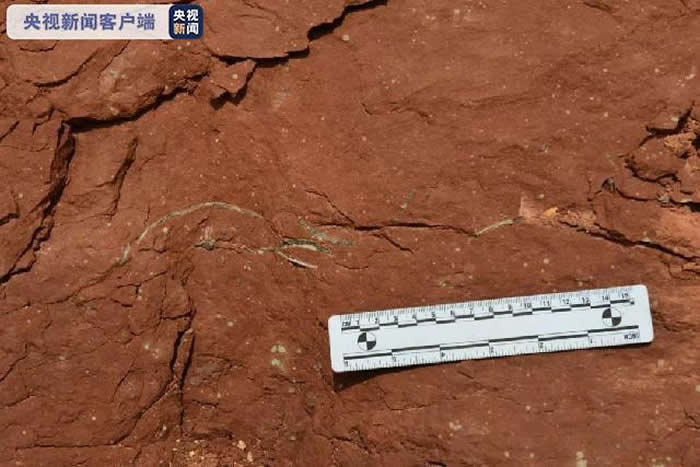 �㶫��Դ�����Է����������������ʯ33ö