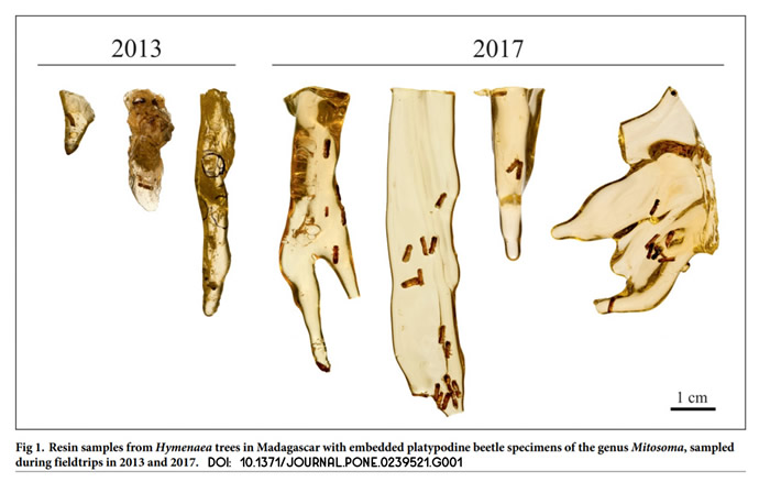 ��٪�޼͹�԰�������о�չʾ��δӱ�������֬�е�������ȡDNA