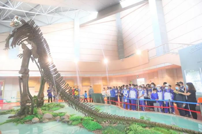 �����ɽӥ��ѧԺ60������ѧ���߽�����̽����������