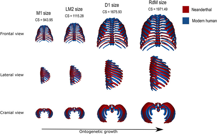 �ᰲ�����˱�����������Ͱ״�߹�֧��������������