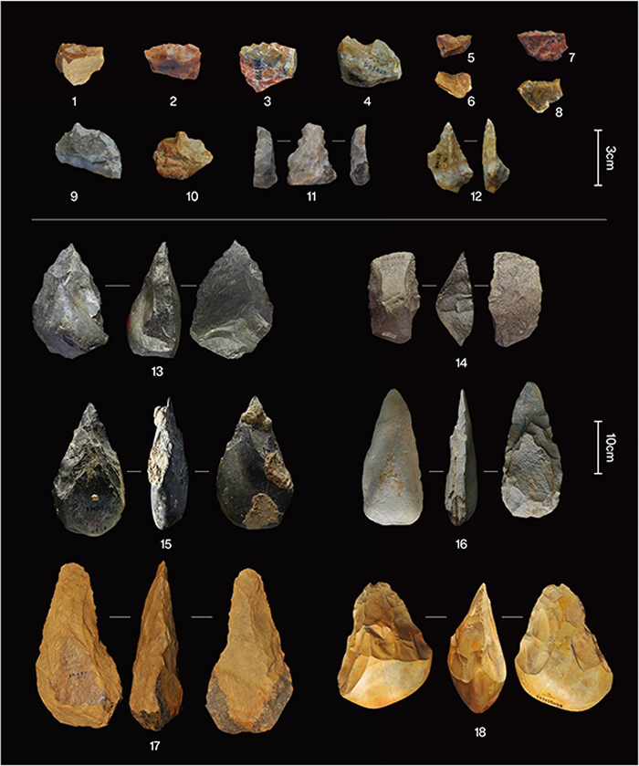 中更新世气候转型期的代表性石器(1-12,高纬度地区的小型工具;13-18,中低纬度地区的大型切割工具)(杨石霞 供图)