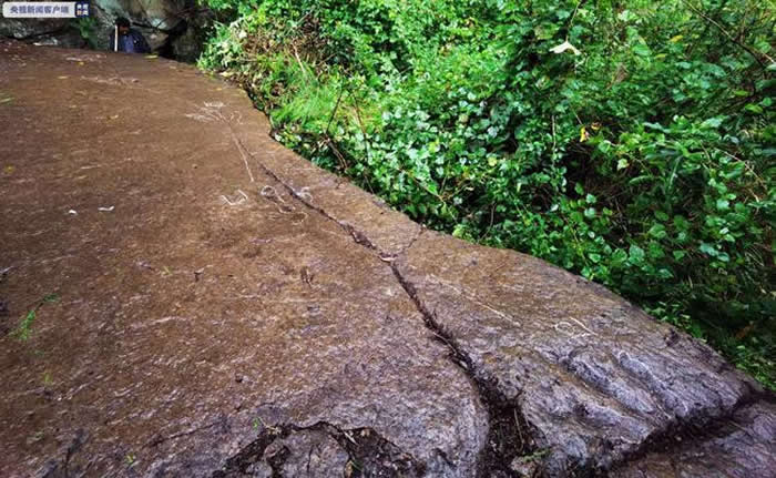 成都5岁小朋友发现恐龙足迹化石 是四川盆地北部边缘的首次发现