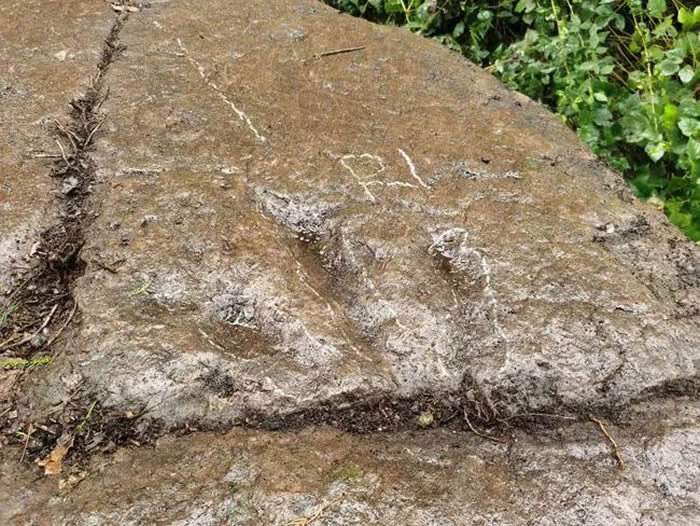 �Ĵ�5��С�к����ֿ����㼣��ʯ����ʾ