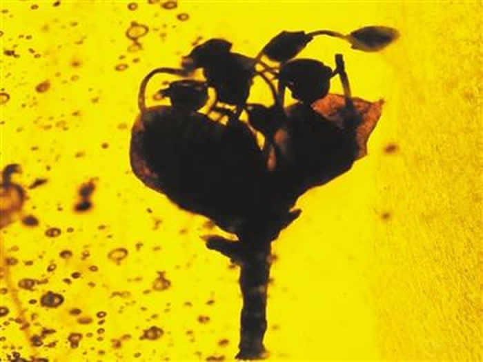 һ��1500����ǰ������������ĵĻ� �������ǽӽ������ݻ���������