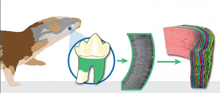 �о���ʾ2����ǰ����Ĳ��鶯������Ѫ�����ж������� ����ٵ��������ö�