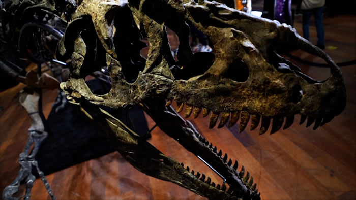 ����������ʳ�����������������ʯ�ڷ���������300��ŷԪ�����ɽ�