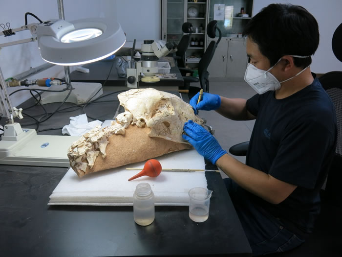 �������ڶԱ걾���������ͼӹ̴���