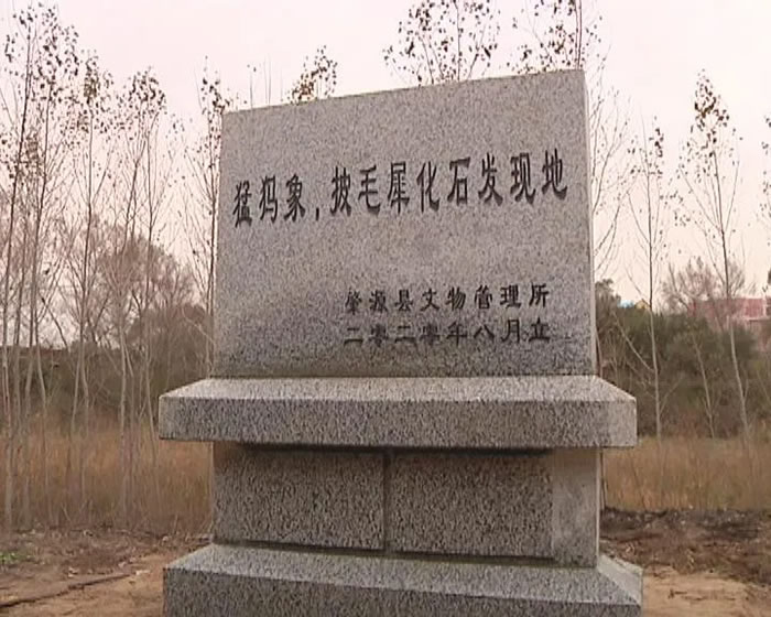 ��Դ�����������Ϊ���������ëϬ��ʯ���ֵ��������ﱣ����־��