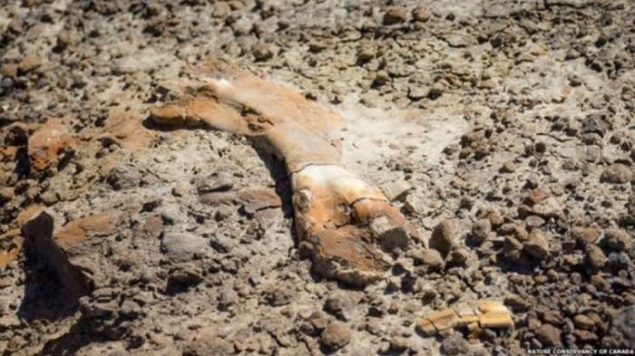 ���ô�12���к����ֺ���6900����ǰѼ������ʯ