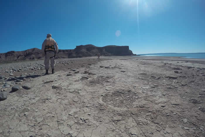 阿根廷巴塔哥尼亚省大坝水位降低 湖岸出现恐龙脚印化石