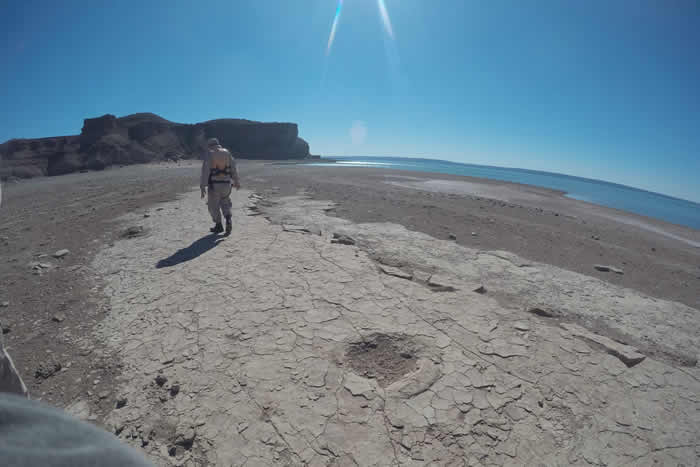 阿根廷巴塔哥尼亚省大坝水位降低 湖岸出现恐龙脚印化石