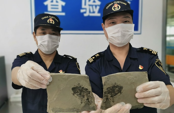 �������ݳ��ֻ������ز��٪�޼�ĩ�������Ѽ����ڵ�������ͷ�ǻ�ʯ