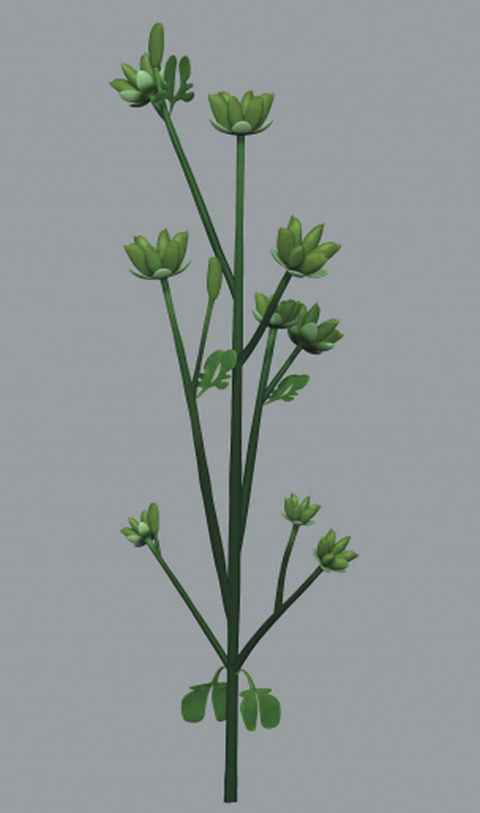 ������Դ��������������ز��г����ı���ֲ�ﻯʯ������Դ���