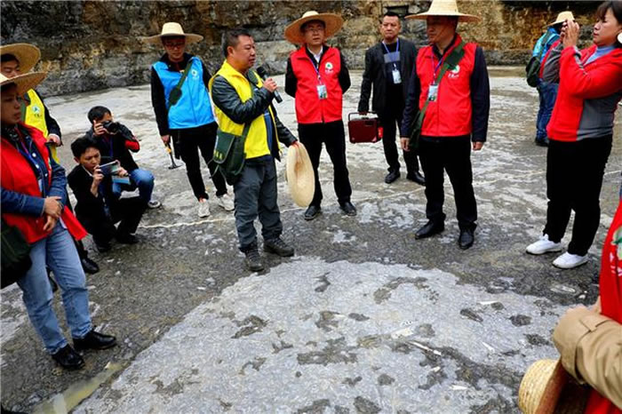 ����ʡ������ͩ����Ң��ɽ���Ң��ɽ��ѧ���ο��ս�ʯ��ʯԭλ�ݽ��ɲ���ѿ���