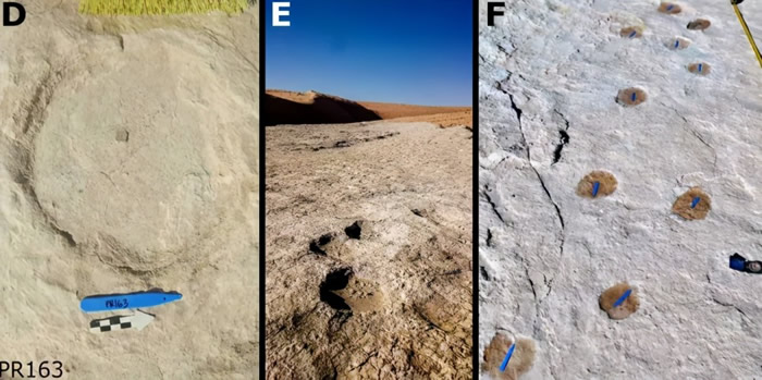 D��E�������ӡ��F�����տƽ�ӡ��