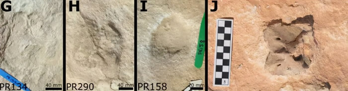 G��H�����տƶ���ǰ�š���Ž�ӡ��I�����Ľ�ӡ��J��ţ�Ƽ�׵�ǡ�