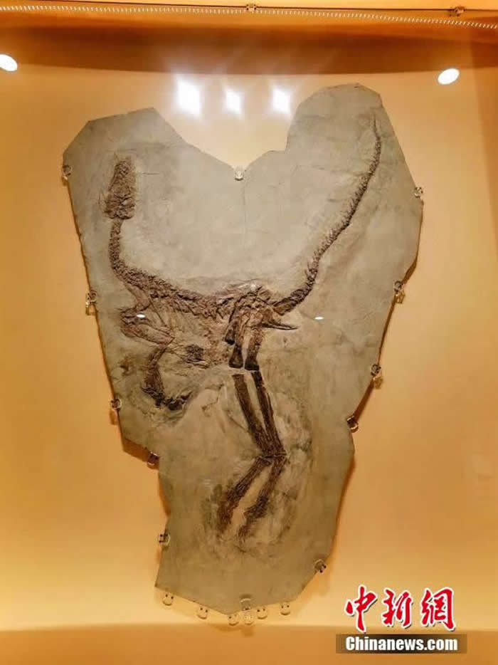 ̽������ʡ��������ʯ���ҵ��ʹ�԰