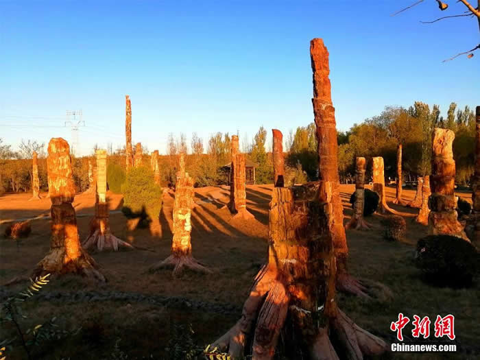 ̽������ʡ��������ʯ���ҵ��ʹ�԰