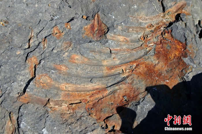 ����˹��������˹�п˷���������ʯ