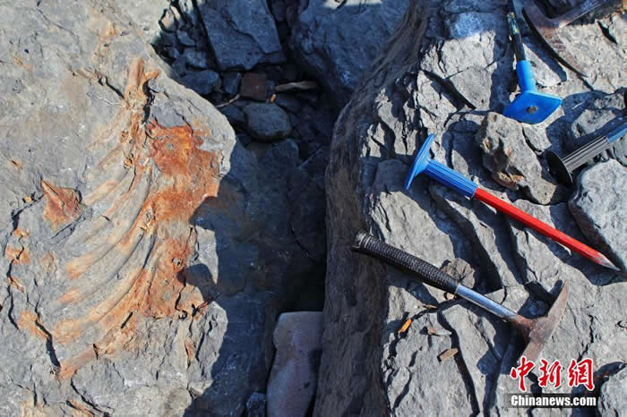 ����˹��������˹�п˷���������ʯ