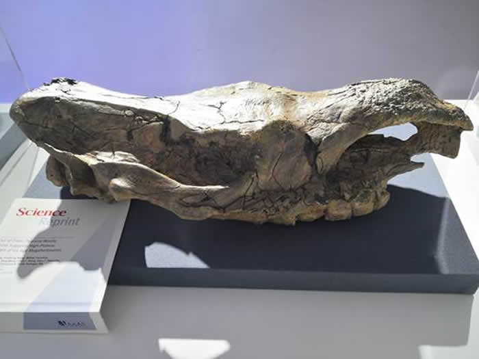 ������ëϬ�����Լ3��70���꣩