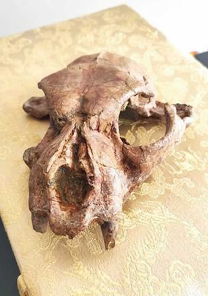 ���ϱ������Լ440���꣩