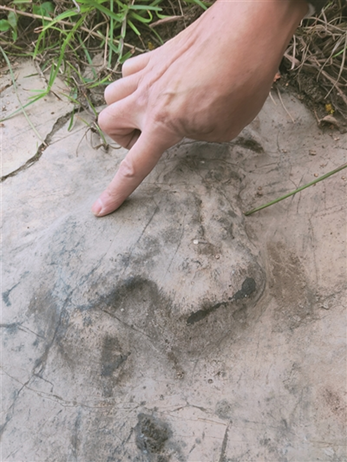 ���ݰ�˳���̷��ִ����������㼣��ʯ