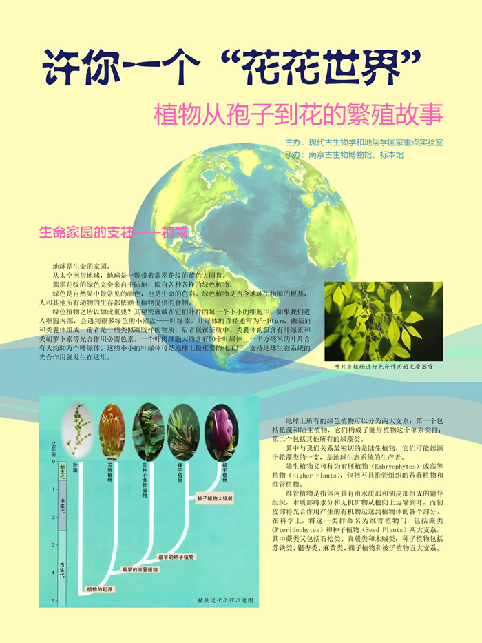 ������һ����������-ֲ������ӵ����ķ�ֳ���¡���չ��ѡȫ�����ʹ��������ʮ���չ